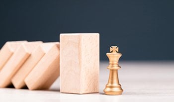 为什么选择我们?